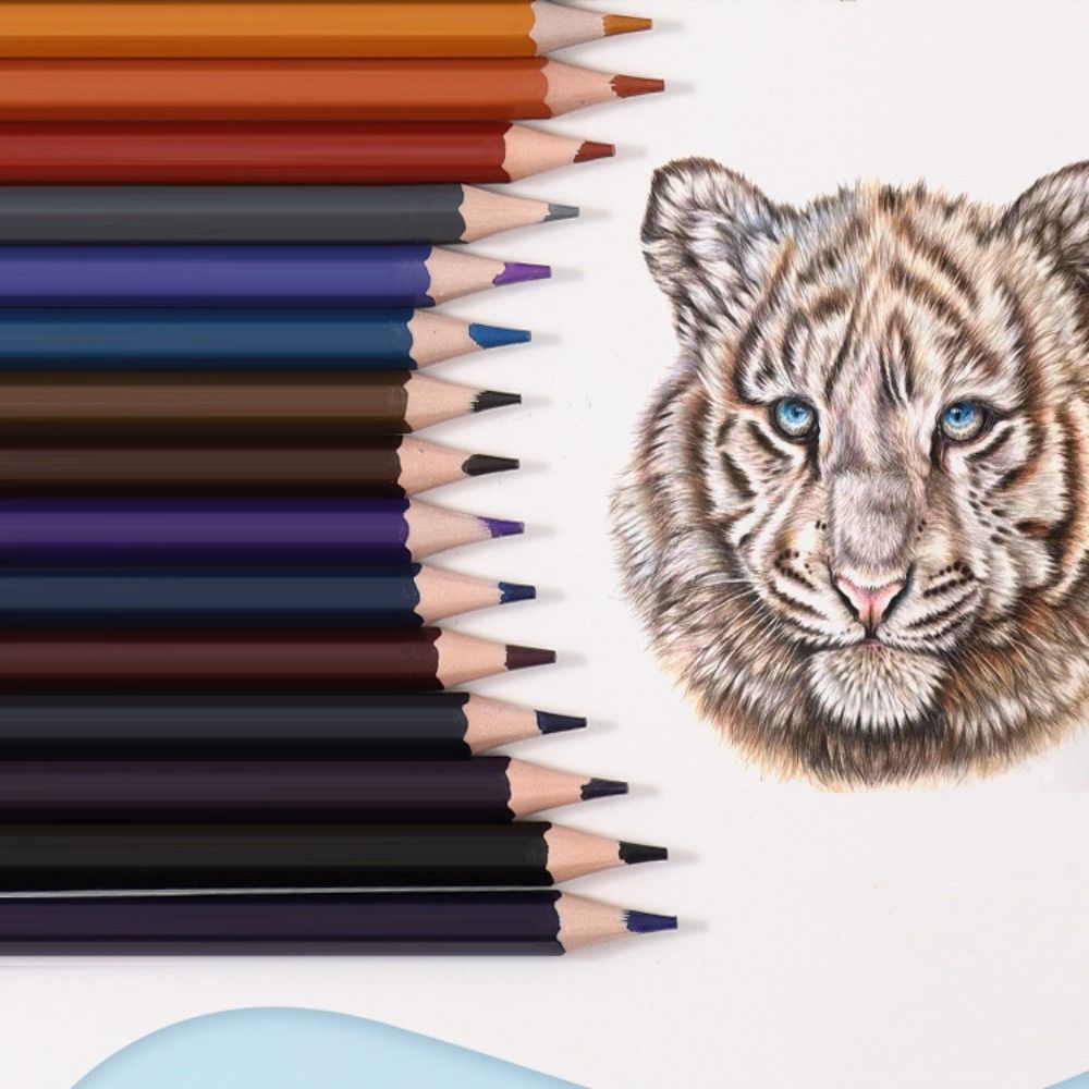 1 Set 12/18/24/36/48 Colors Pa - Colored Pencil Professional recension och pris
